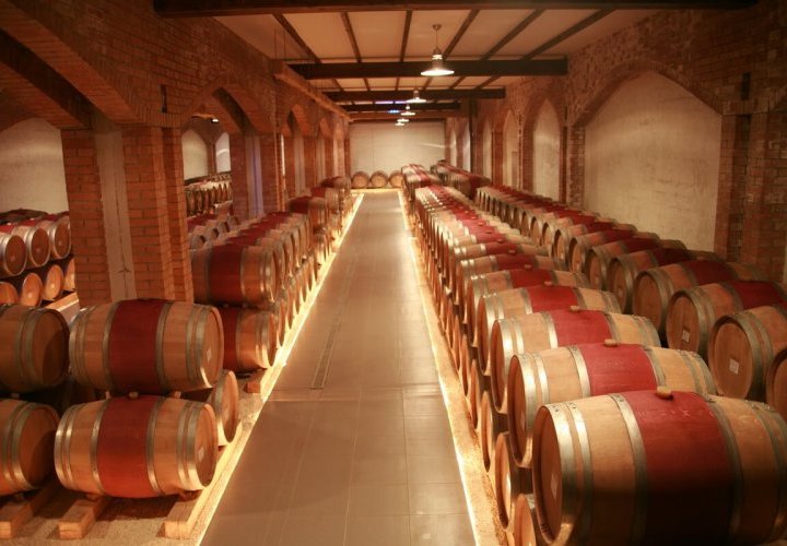 Discovery of Château Vartely and Cricova wineries 