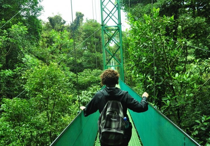 Zip lines, Hanging Bridges and Butterfly Garden in Selvatura Park