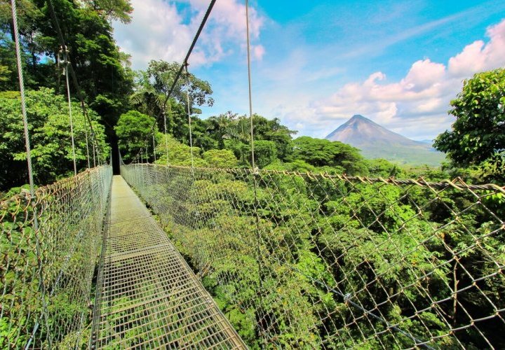 Yoga class and hike in Mistico Arenal Hanging Bridges Park