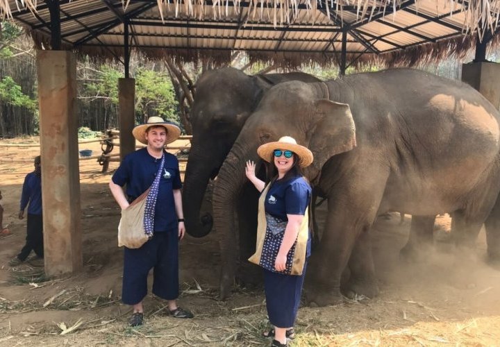 Amazing Experience in Baan Chang Elephant Park