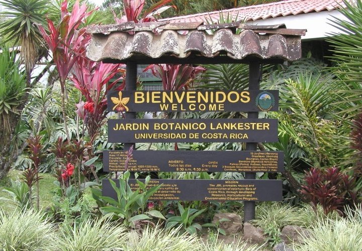 Discovery of the Irazú Volcano, Orosi Valley, Basilica of Our Lady of the Angels and Lankester Botanical Garden 