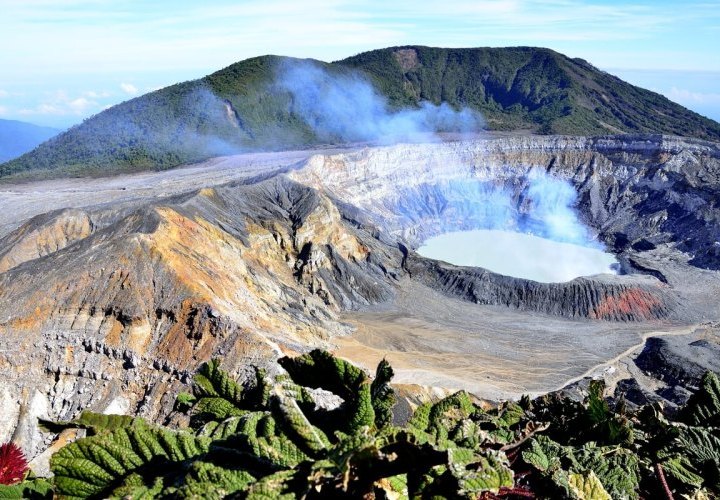 Excursion to the Poás Volcano, Doka Coffee Tour and discovery of La Paz Waterfall Gardens Nature Park
