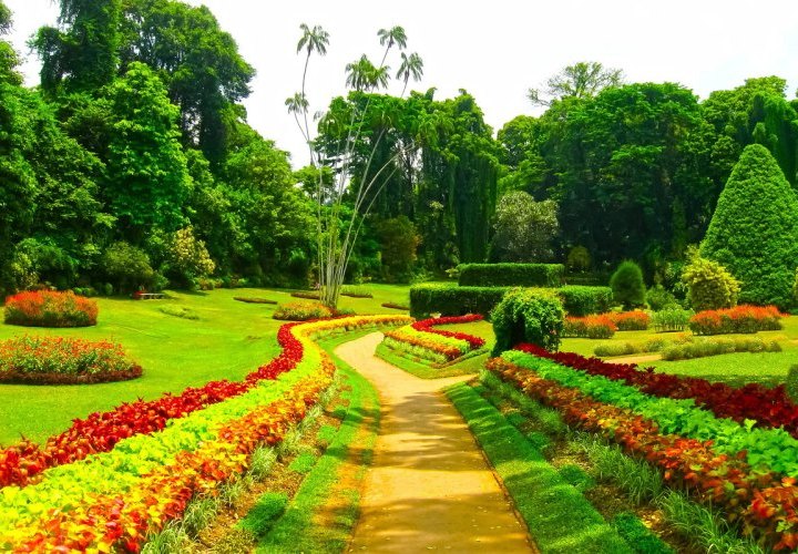 Guided tour of Kandy and visit to the Temple of the Sacred Tooth Relic and the Peradeniya Royal Botanical Gardens 