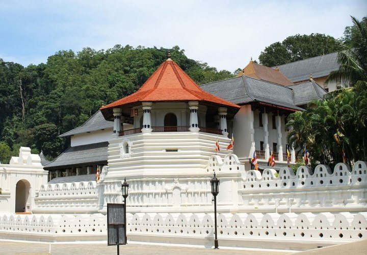 Guided tour of Kandy and visit to the Temple of the Sacred Tooth Relic and the Peradeniya Royal Botanical Gardens 