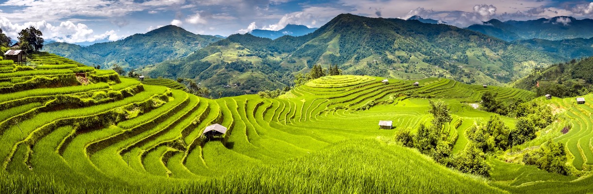 Your tailor-made tour in Vietnam